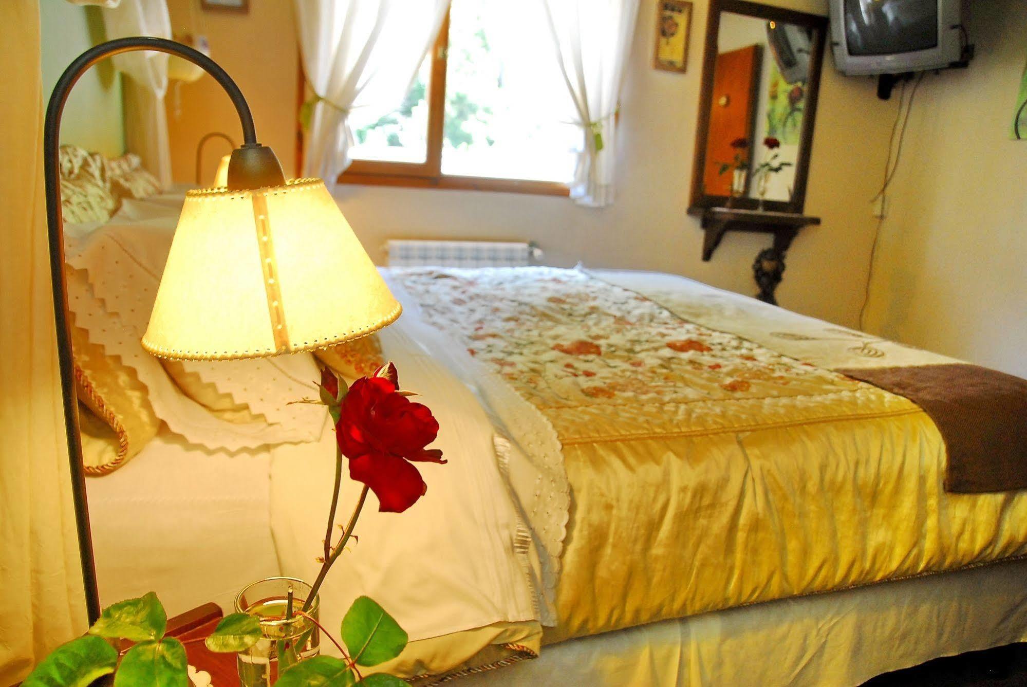 Rotui Apart Hotel San Martin de los Andes Exterior photo